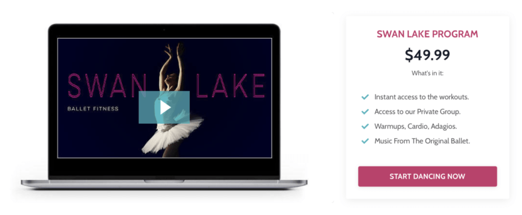 Lazy Dancer Studio - Swan Lake Program